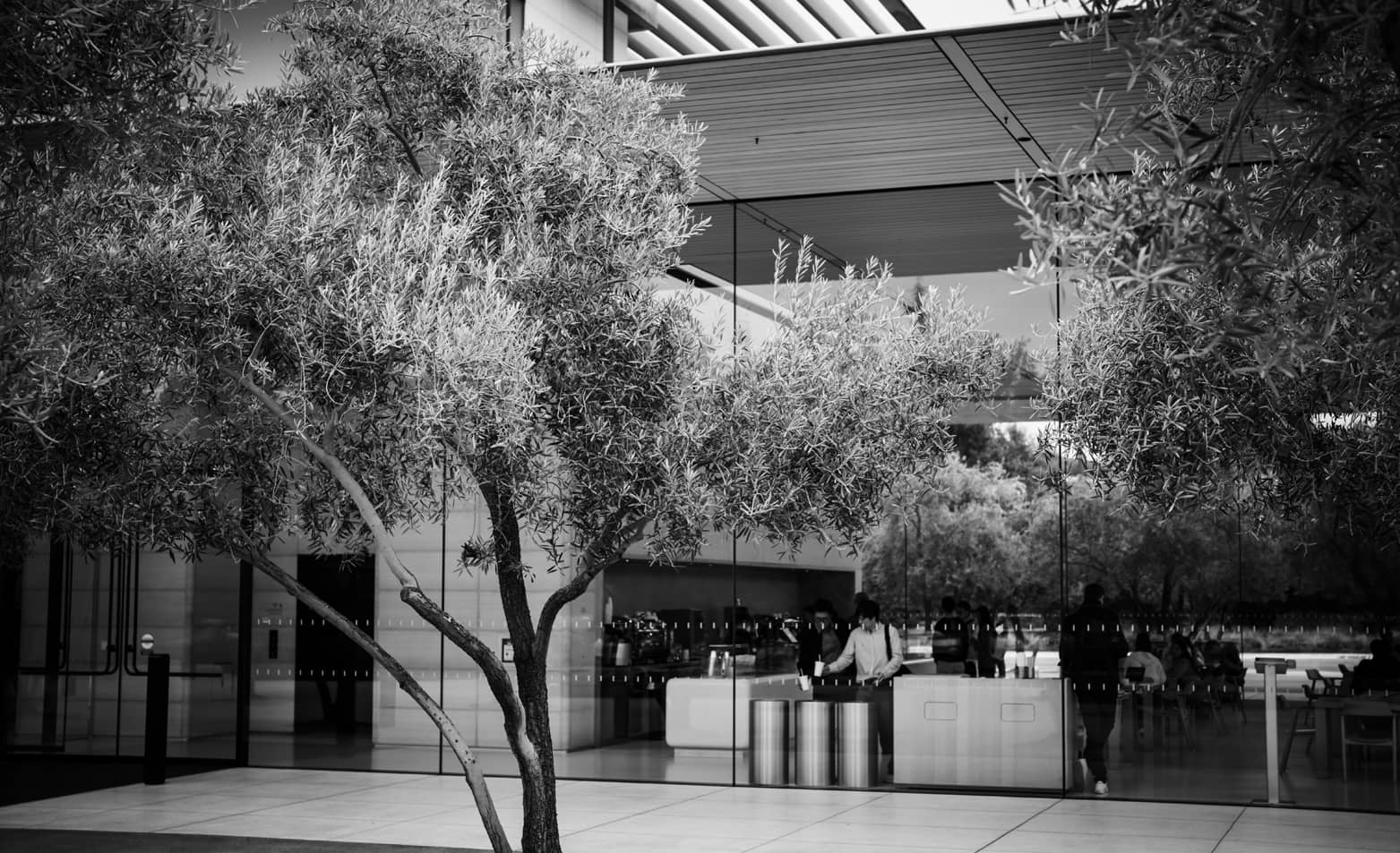 Arbre devant un bâtiment contemporain aux larges baies vitrées, illustration minimaliste en noir et blanc pour marquer une pause visuelle avant la foire aux questions sur les ETF